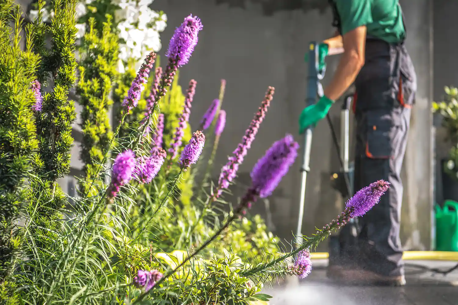 limpieza puntual de jardines